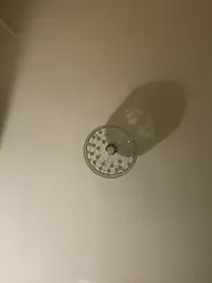 _MelinaCurves_ webcam model stream image