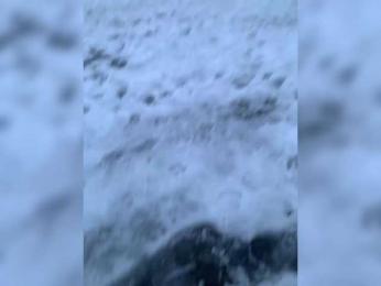 MariCat webcam model stream image