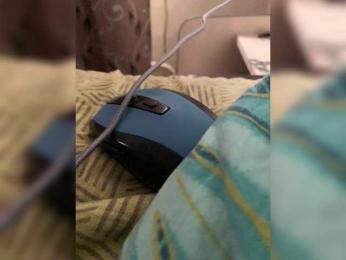 MariCat webcam model stream image