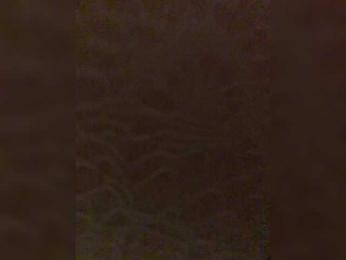 MariCat webcam model stream image