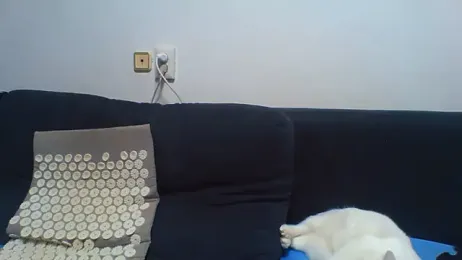 KaelNox webcam stripchat model stream image
