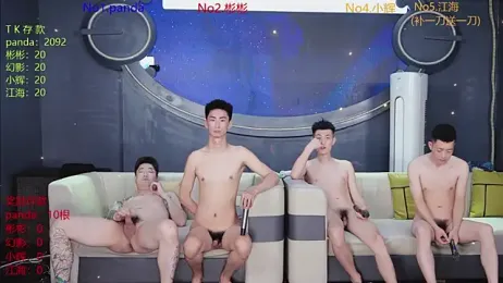 SX-001 webcam model stream image