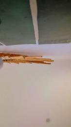 mia_sex_xxx webcam cam4 model stream image