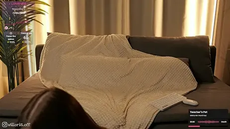 Willoris webcam model stream image