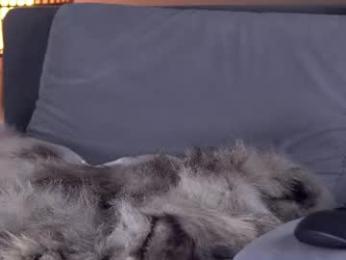 tsgisele webcam chaturbate model stream image