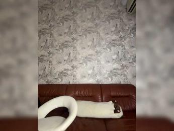 ---oTo-Toy--- webcam bongacams model stream image
