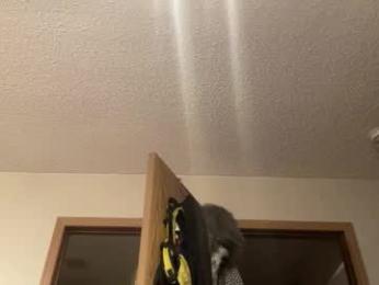 globalmovement webcam model stream image