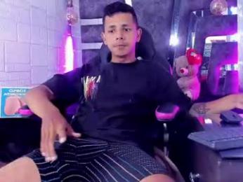 g_lincoln webcam model stream image