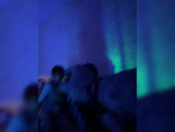 razvedos5 webcam bongacams model stream image