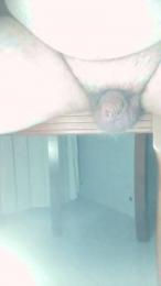 Safadogordinh webcam model stream image