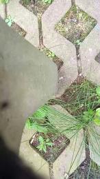 Aus_Schlema webcam model stream image