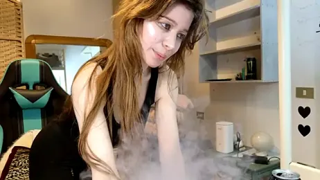 Miaelis webcam model stream image