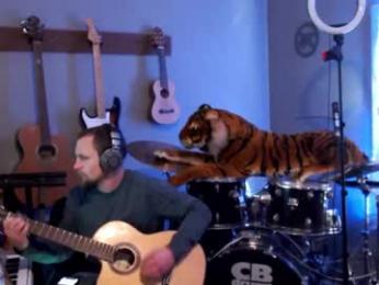 jameswebbscope webcam model stream image