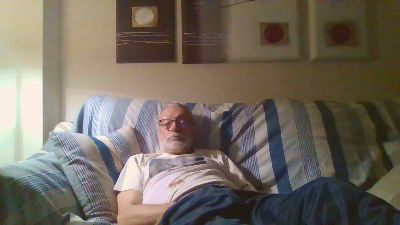 Leafars webcam model stream image