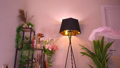 EdaBadder webcam cam4 model stream image