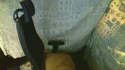 DWT_Svenja webcam model stream image