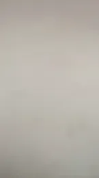 DanaaCollins webcam model stream image