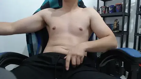 DinoZero webcam model stream image