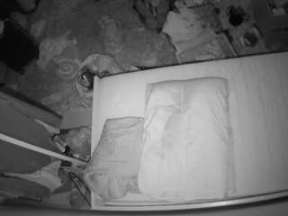 voyeurcam-julmodels-whitebed-5 webcam camsoda model stream image