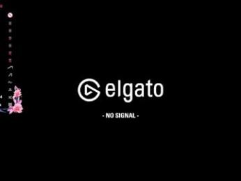 butteflai webcam model stream image
