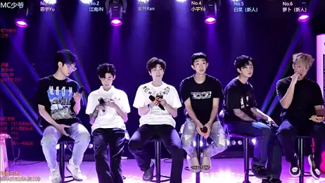 AOA-MIC webcam model stream image