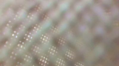 alexamh webcam model stream image