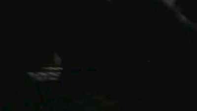 PICA_DAN webcam model stream image