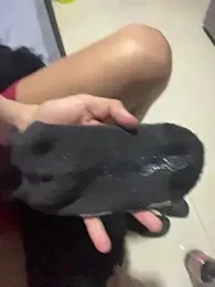 Stiven_017 webcam model stream image