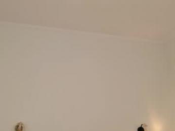 pinktwinss webcam chaturbate model stream image