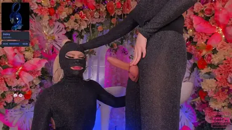 SpicySluts webcam stripchat model stream image