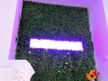 hotfallingdevil webcam model stream image