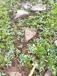 murokkk31 webcam model stream image