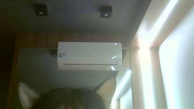 SkinnyKittenCam webcam model stream image