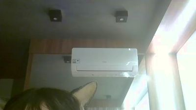 SkinnyKittenCam webcam cam4 model stream image