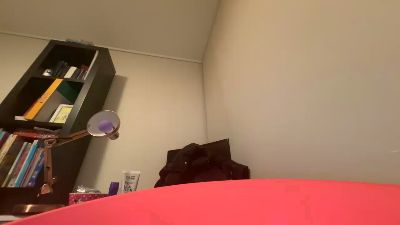 silentpixels webcam model stream image