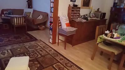 weed_whacker webcam model stream image