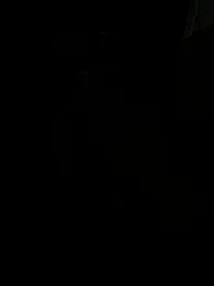 Gaonkadesilonda webcam model stream image