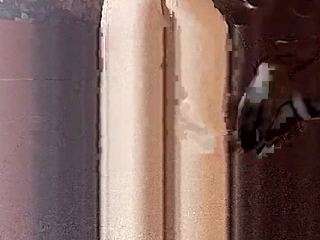 nimbusdude webcam model stream image