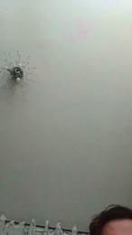 Lupocs webcam model stream image