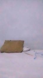 Guillesex777 webcam model stream image
