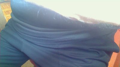 Strolchibaer webcam model stream image