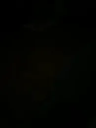 BigDawgzbite69 webcam model stream image
