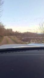 Gerontofilia webcam cam4 model stream image