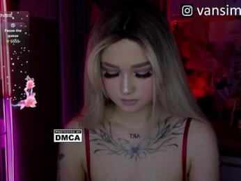 vanslly webcam model stream image