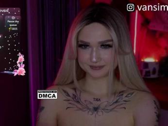 vanslly webcam model stream image