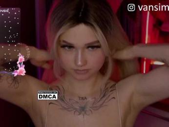 vanslly webcam model stream image