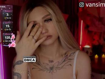 vanslly webcam model stream image