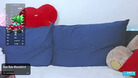 -Lorik- webcam model stream image