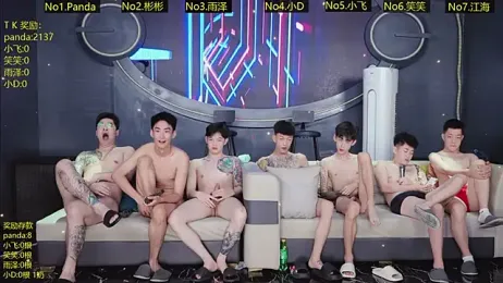 SX-009 webcam model stream image
