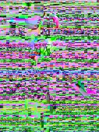 Lalla_Amani webcam model stream image